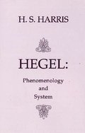 Phenomenology and System