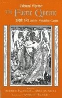 Edmund Spenser, Andrew Hadfield, Abraham Stoll - Faerie Queene, Book Six and the Mutabilitie Cantos, Häftad