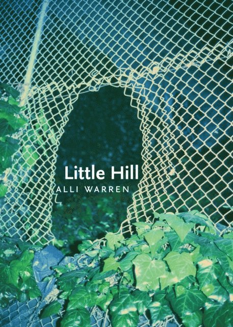 Alli Warren - Little Hill, E-bok