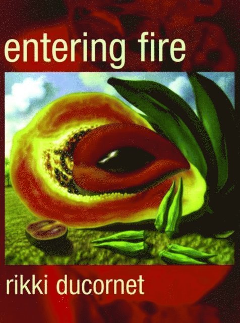 Rikki Ducornet - Entering Fire, E-bok