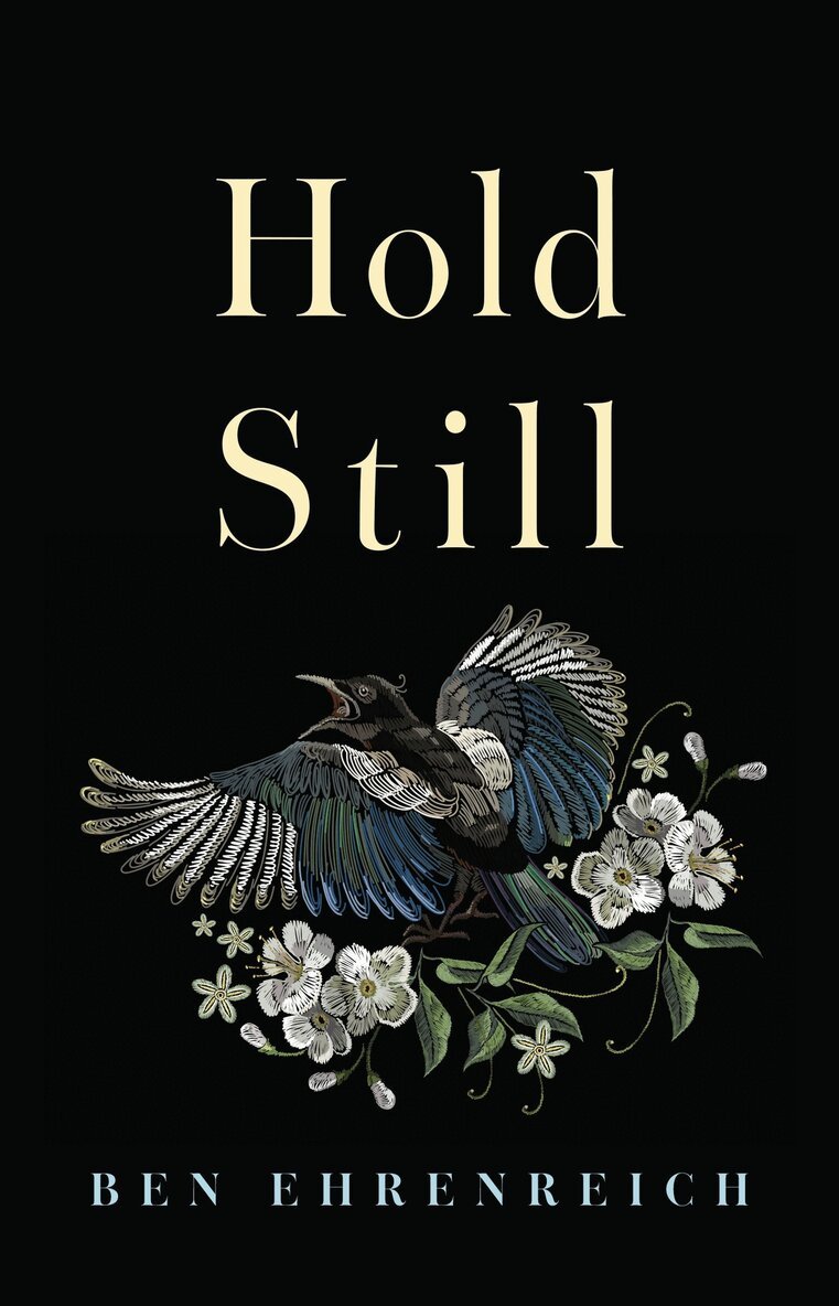 Ben Ehrenreich - Hold Still, Häftad