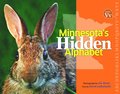 Minnesota's Hidden Alphabet