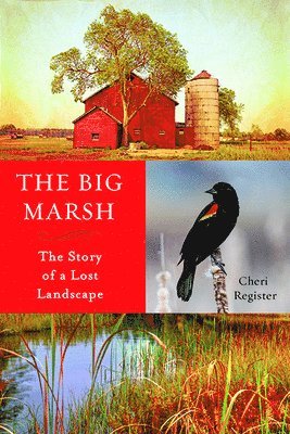 Cheri Register - The Big Marsh: The Story of a Lost Landscape, Häftad. Tillgänglighet: Lägg i varukorg