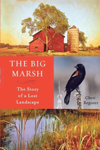 Cheri Register - Big Marsh, E-bok. Tillgänglighet: Lägg i varukorg