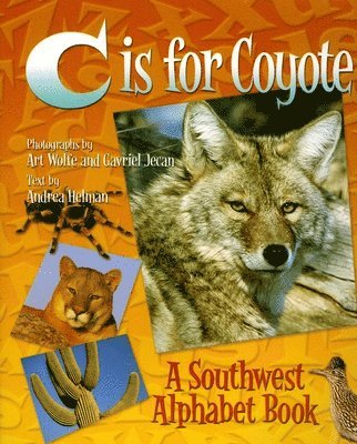 C is for Coyote