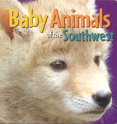 Baby Animals of the Southwest, Kartonnage