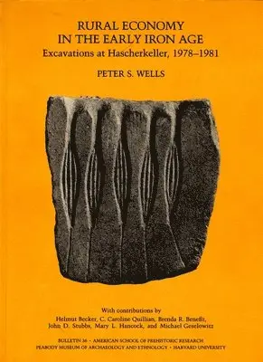 Peter S. Wells - Rural Economy in the Early Iron Age, Häftad. Tillgänglighet: Tillfälligt slut