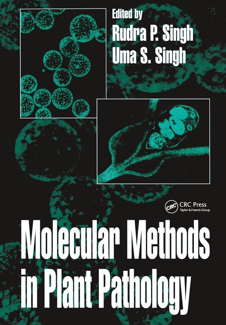 Uma. S. Singh, Rudra P. Singh - Molecular Methods in Plant Pathology, Inbunden