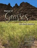 Manual of Grasses for North America