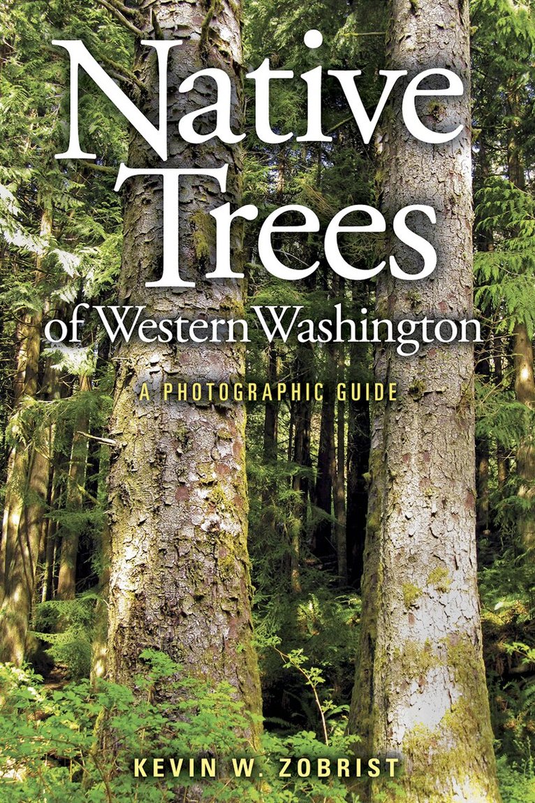 Native Trees of Western Washington