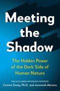 Meeting the Shadow