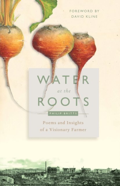 Philip Britts, Jennifer Harries - Water at the Roots, E-bok