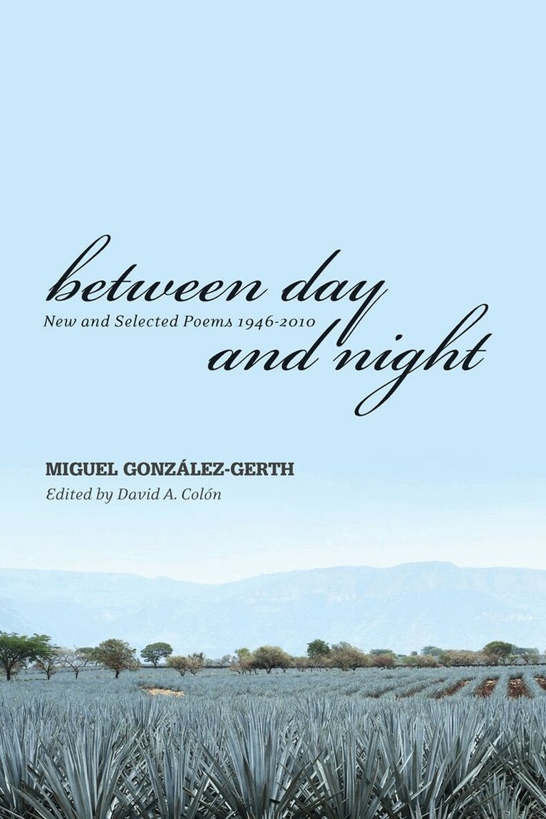 Miguel González-Gerth, David Colón - Between Day and Night, Häftad