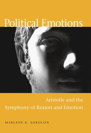 Political Emotions av Marlene K Sokolon