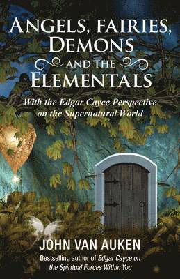 John Van Auken - Angels, Fairies, Demons and the Elementals, Häftad