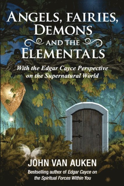 John Van Auken - Angels, Fairies, Demons, and the Elementals, E-bok