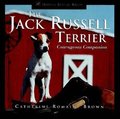 Jack Russell Terrier
