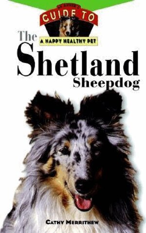 Shetland Sheepdog: An Owner's Guide