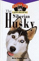 Siino - Siberian Husky: An Owner's Guide, Inbunden