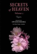 Secrets Of Heaven 5