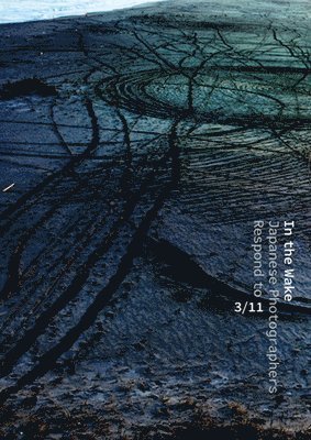 Anne Nishimura Morse, Anne E. Havinga - In the Wake, Inbunden. Tillgänglighet: Tillfälligt slut