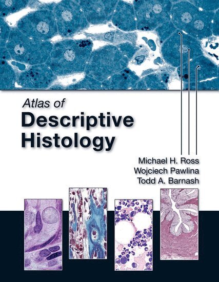 Michael H. Ross, Wojciech Pawlina, Todd A. Barnash - Atlas of Descriptive Histology, Häftad. Tillgänglighet: Lägg i varukorg