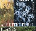 Dramatic Effects with Architectural Plants