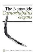 Nematode, Caenorhabditis Elegans