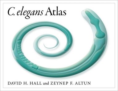 C. Elegans Atlas av David Hall, Zeynep Altun