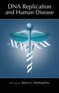 DNA Replication and Human Disease