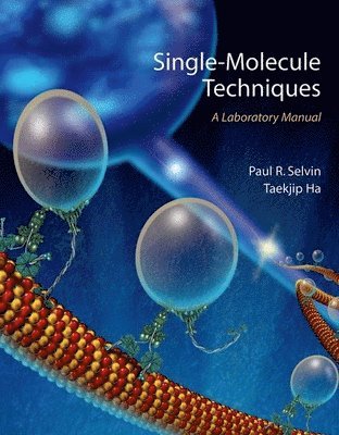 Paul R. Selvin, Taekjip Ha - Single Molecule Techniques, Häftad