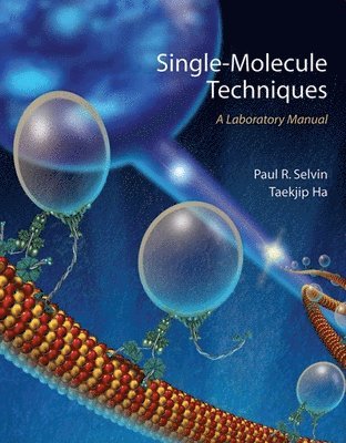 Paul R. Selvin, Taekjip Ha - Single Molecule Techniques, Inbunden