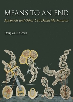Douglas R. Green, Douglas R Green - Means to an End: Apoptosis and Other Cell Death Mechanisms, Häftad