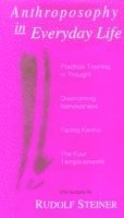 Rudolf Steiner, Christopher Bamford - Anthroposophy in Everyday Life, Häftad