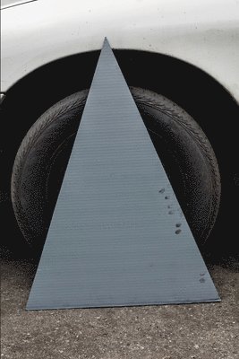 Shannon Ebner: Auto Body Collision, Häftad