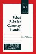 What Role for Currency Boards?
