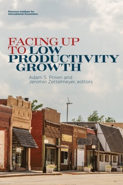 Jeromin Zettelmeyer, Adam Posen - Facing Up to Low Productivity Growth, E-bok