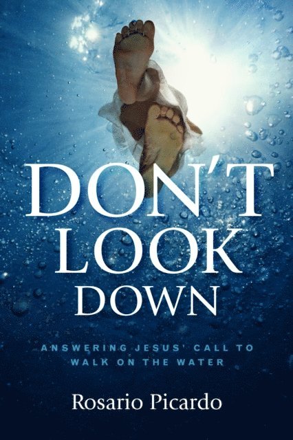Rosario Picardo - Don't Look Down, E-bok