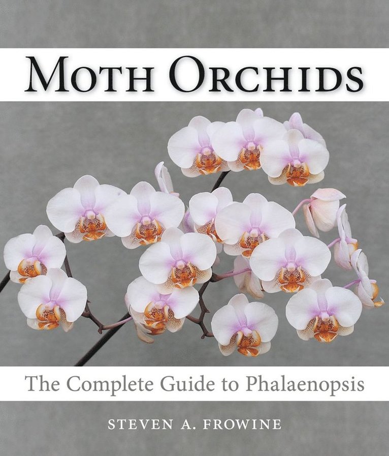 Steven A. Frowine - Moth Orchids, Inbunden