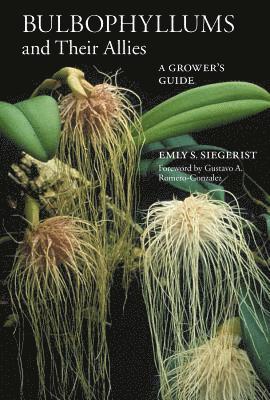 Emly S. Siegerist - Bulbophyllums and Their Allies, Häftad
