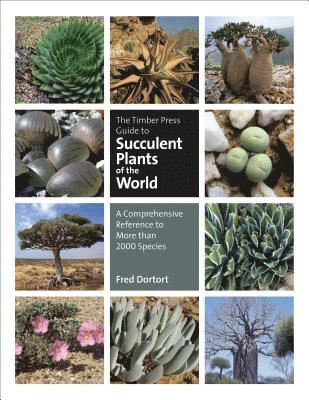 Fred Dortort - Timber Press Guide to Succulent Plants of the World, Inbunden