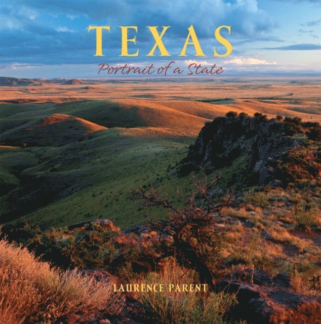Laurence Parent - Texas, E-bok