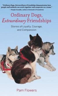 Ordinary Dogs, Extraordinary Friendships