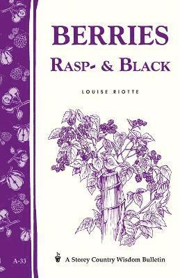 Louise Riotte - Berries, Rasp- & Black, Häftad. Tillgänglighet: Tillfälligt slut
