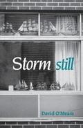 Storm Still
