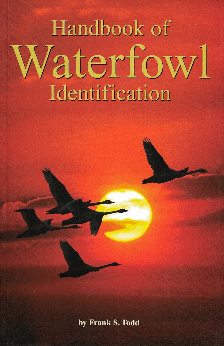 Frank Todd - Handbook of Waterfowl Identification, Häftad. Tillgänglighet: Tillfälligt slut