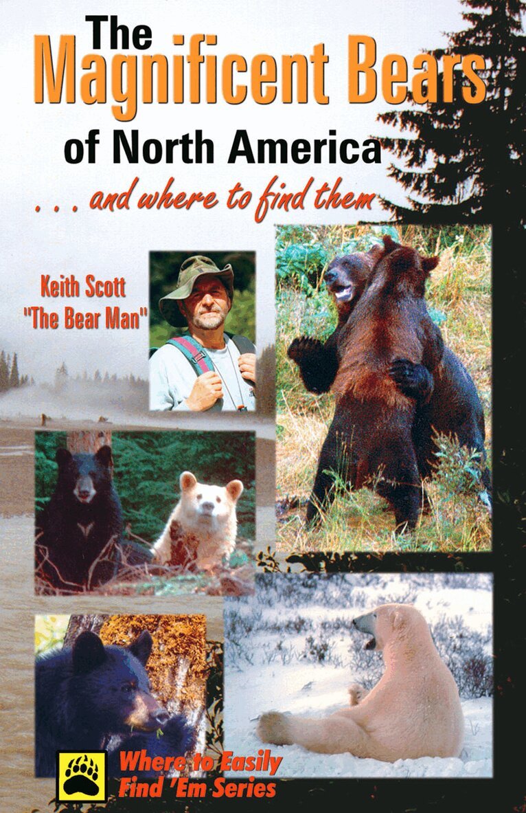 Keith Scott - Magnificent Bears of North America, Häftad. Tillgänglighet: Lägg i varukorg