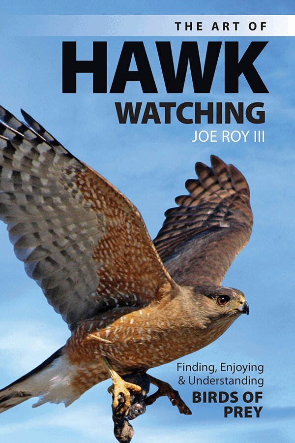 Joe Roy III - Art of Hawk Watching, Häftad. Tillgänglighet: Lägg i varukorg