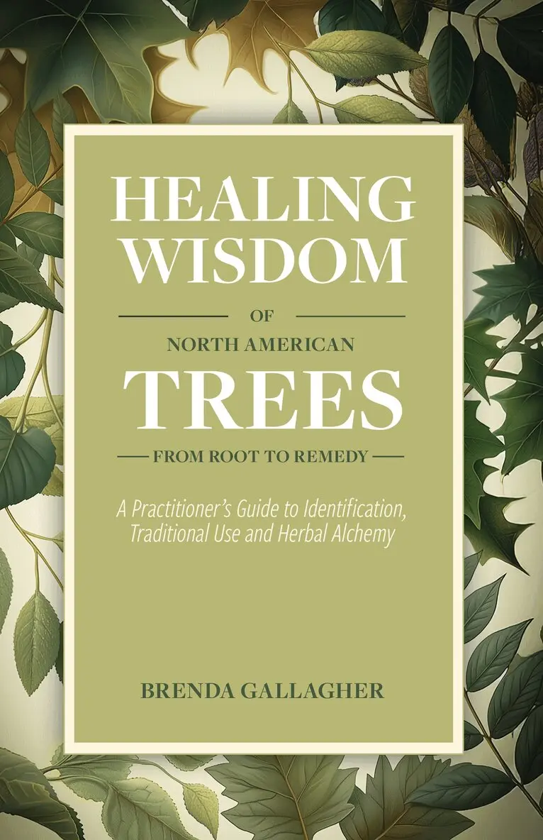 Healing Wisdom of North American Trees