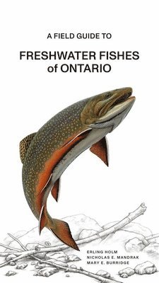 A Fish Guide to Freshwater Fishes of Ontario, Häftad